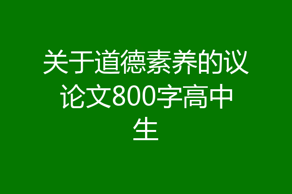 关于道德素养的议论文800字高中生