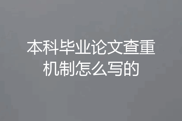 本科毕业论文查重机制怎么写的