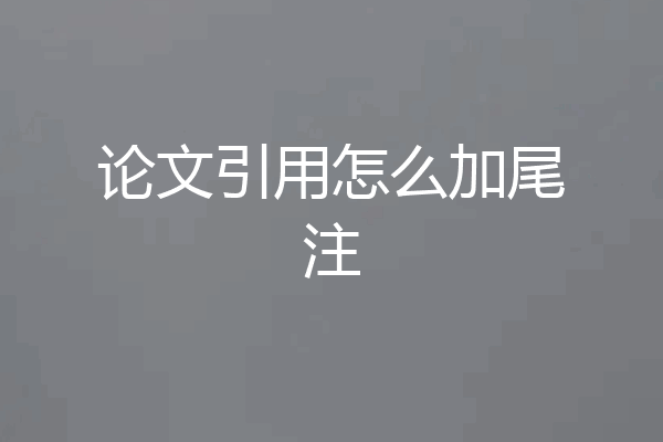 论文引用怎么加尾注