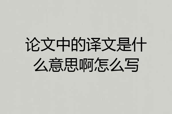 论文中的译文是什么意思啊怎么写