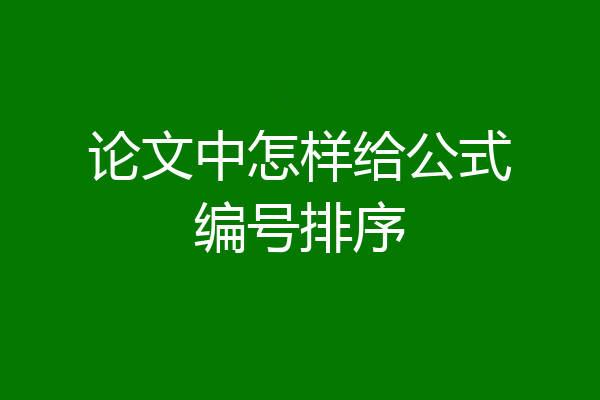 论文中怎样给公式编号排序
