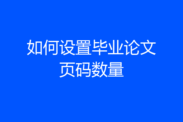 如何设置毕业论文页码数量