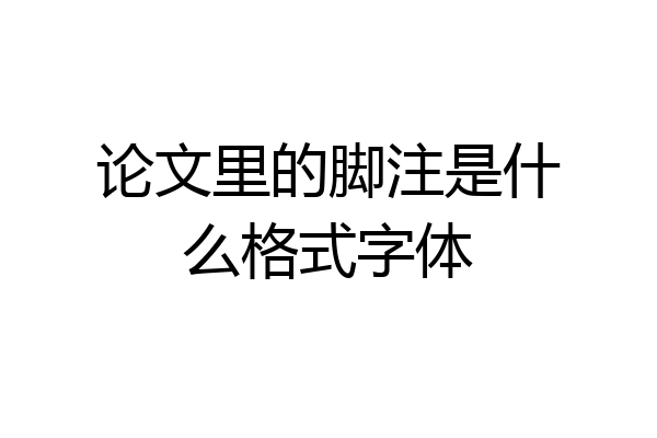 论文里的脚注是什么格式字体