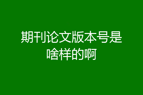 期刊论文版本号是啥样的啊