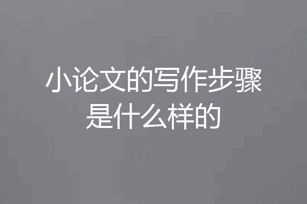 小论文的写作步骤是什么样的