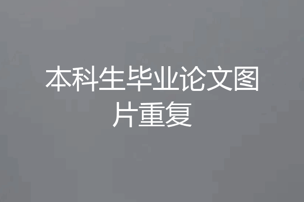 本科生毕业论文图片重复