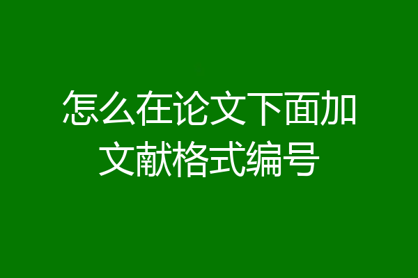 怎么在论文下面加文献格式编号
