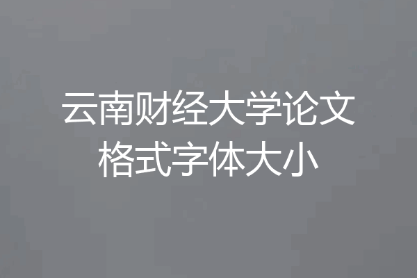 云南财经大学论文格式字体大小