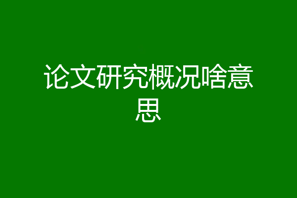 论文研究概况啥意思