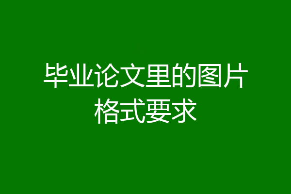毕业论文里的图片格式要求