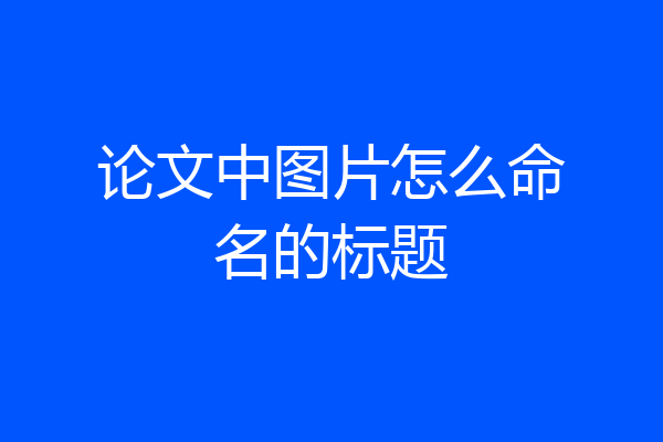 论文中图片怎么命名的标题
