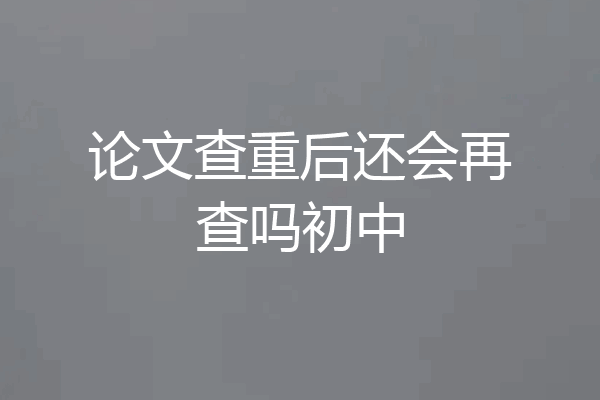 论文查重后还会再查吗初中