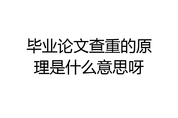 毕业论文查重的原理是什么意思呀