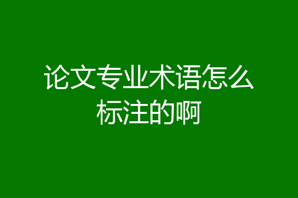 论文专业术语怎么标注的啊