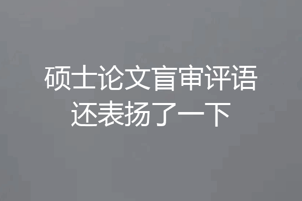硕士论文盲审评语还表扬了一下