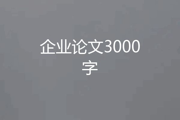 企业论文3000字