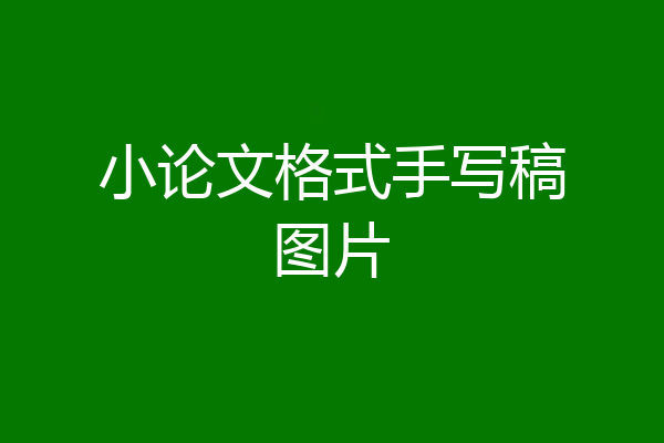 小论文格式手写稿图片