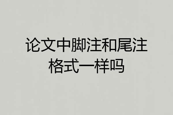 论文中脚注和尾注格式一样吗