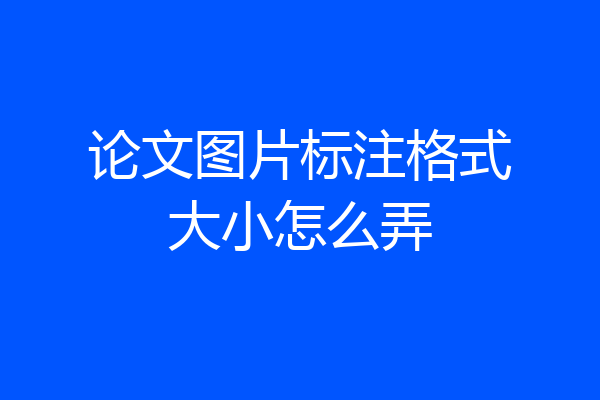 论文图片标注格式大小怎么弄