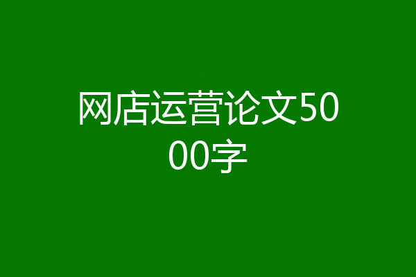 网店运营论文5000字