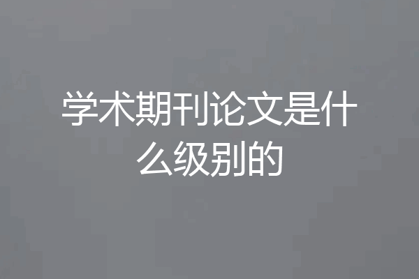 学术期刊论文是什么级别的
