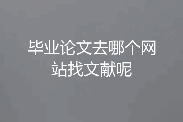 毕业论文去哪个网站找文献呢