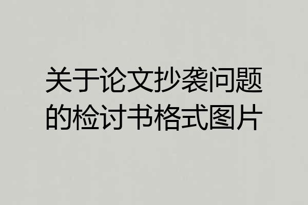 关于论文抄袭问题的检讨书格式图片