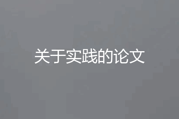 关于实践的论文