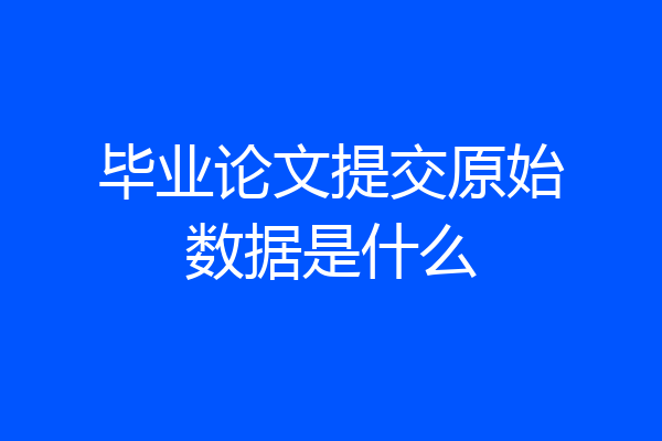 毕业论文提交原始数据是什么
