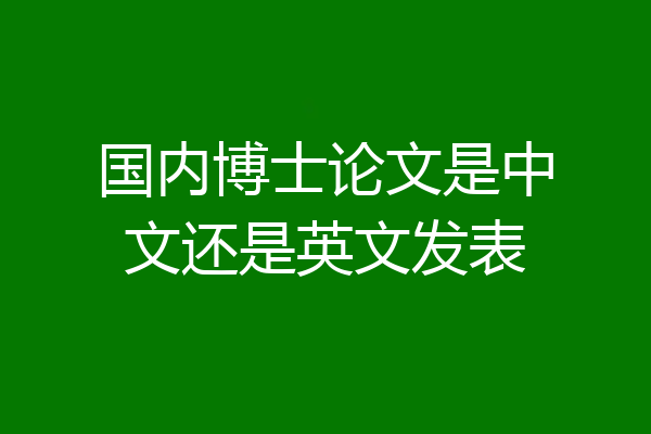 国内博士论文是中文还是英文发表