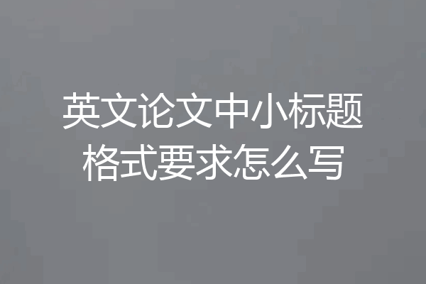 英文论文中小标题格式要求怎么写