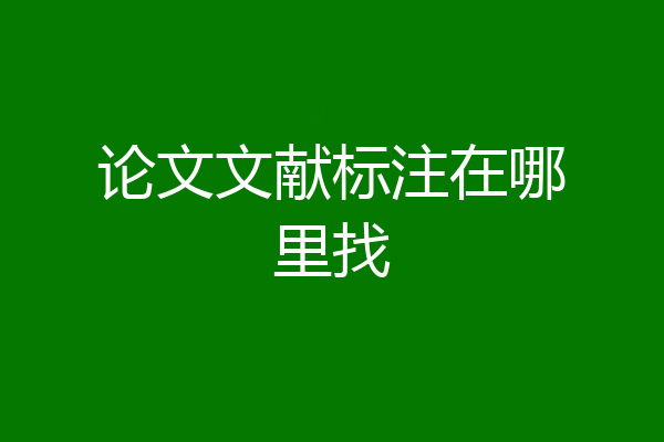论文文献标注在哪里找