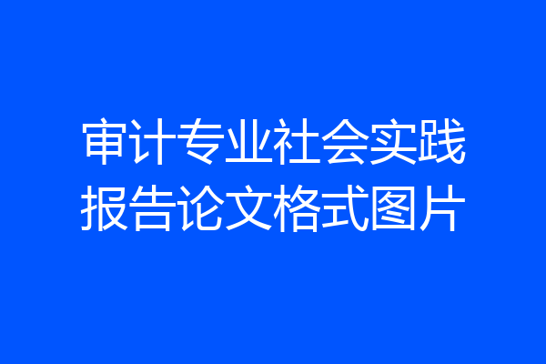 审计专业社会实践报告论文格式图片