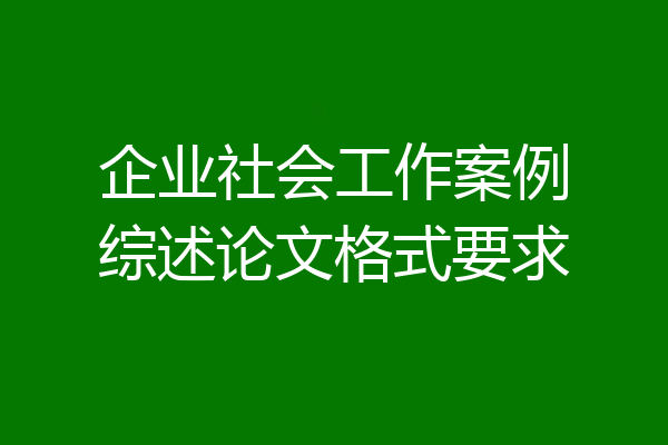 企业社会工作案例综述论文格式要求