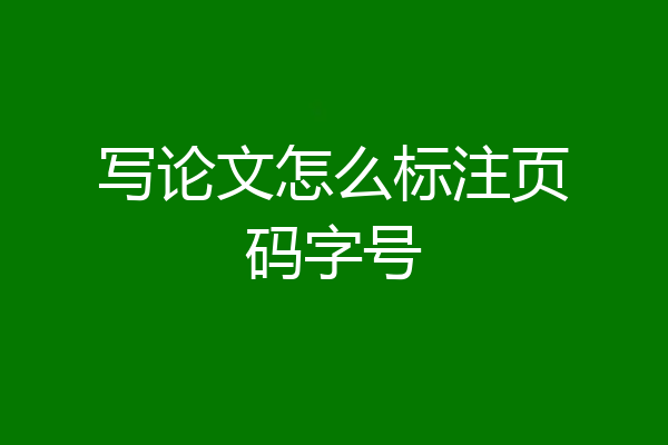 写论文怎么标注页码字号