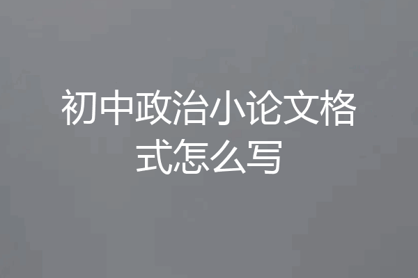 初中政治小论文格式怎么写