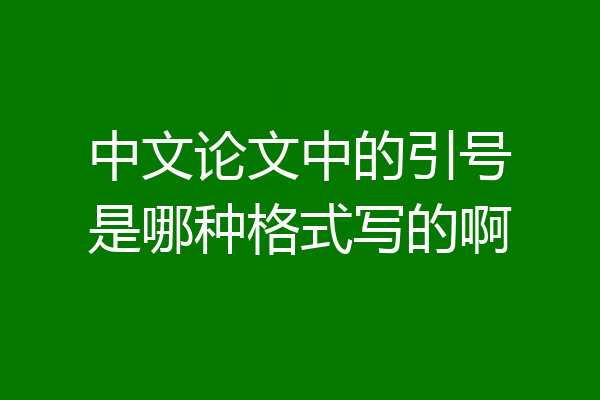 中文论文中的引号是哪种格式写的啊