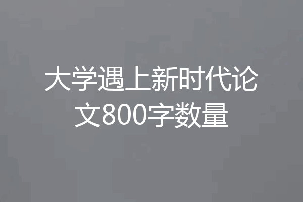大学遇上新时代论文800字数量