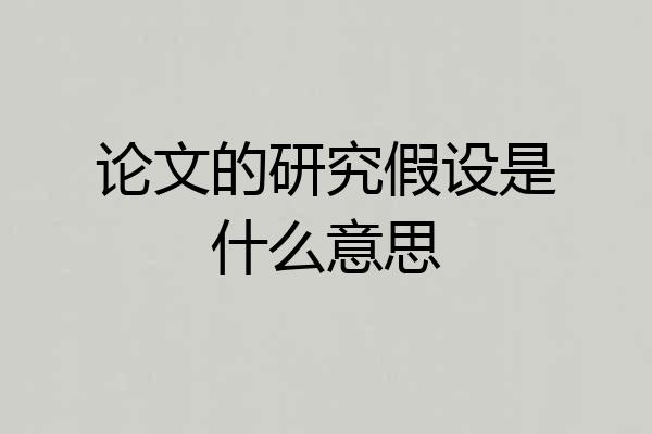 论文的研究假设是什么意思