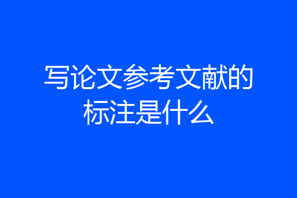 写论文参考文献的标注是什么