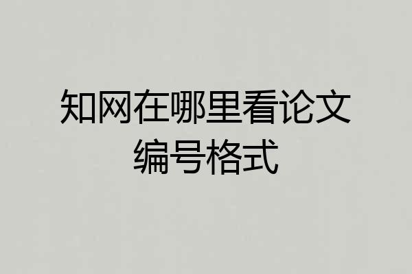 知网在哪里看论文编号格式
