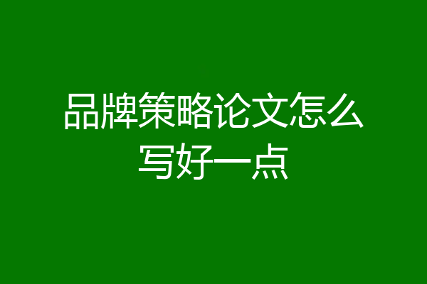 品牌策略论文怎么写好一点