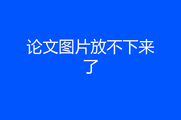 论文图片放不下来了