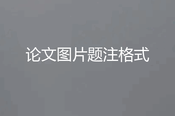 论文图片题注格式