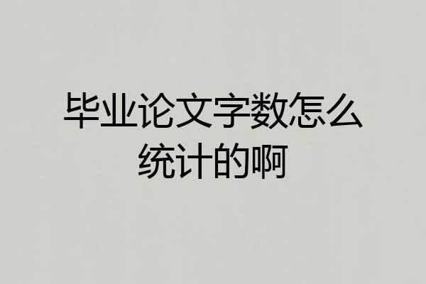 毕业论文字数怎么统计的啊