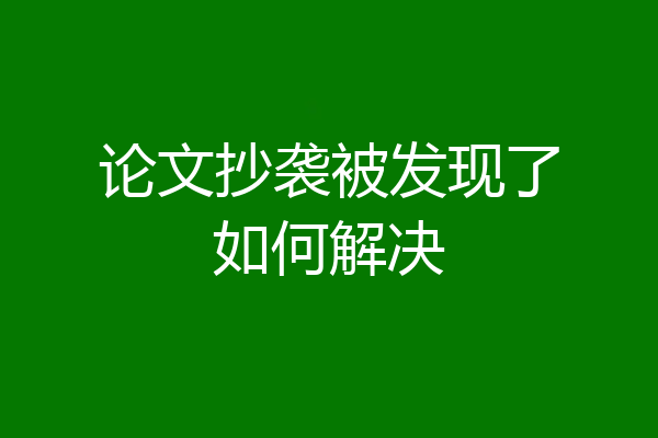 论文抄袭被发现了如何解决