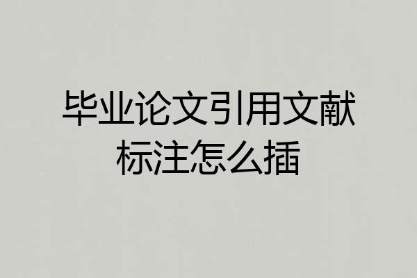 毕业论文引用文献标注怎么插