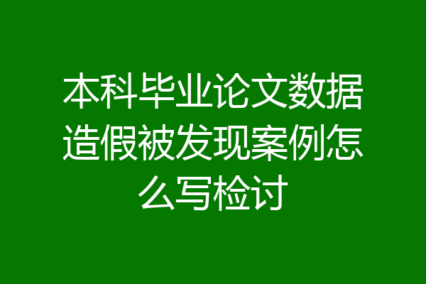 本科毕业论文数据造假被发现案例怎么写检讨