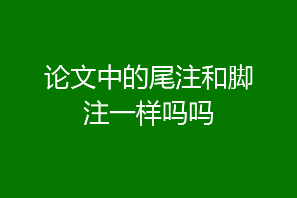 论文中的尾注和脚注一样吗吗