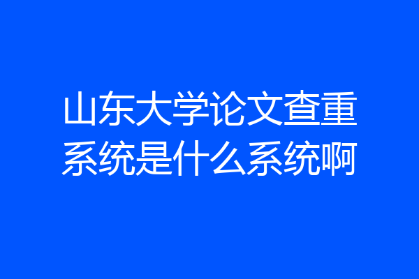 山东大学论文查重系统是什么系统啊